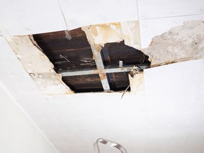 About Mold Removal and Remediation Experts - mold removal experts in Milwaukee
